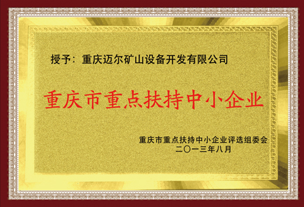 重慶市重點扶持中小企業